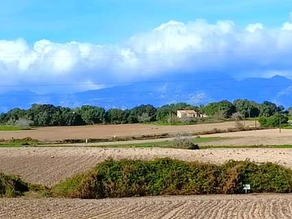 Parcela rústica en venta en Muro