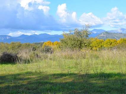 Parcela urbana en venta en Llubí