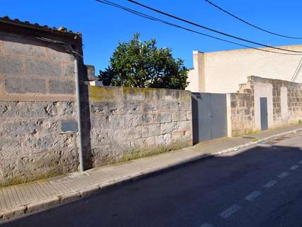 Parcela rústica en venta en Muro