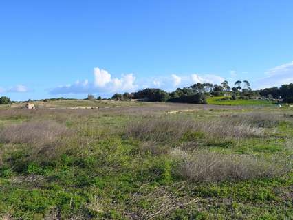 Parcela rústica en venta en Muro