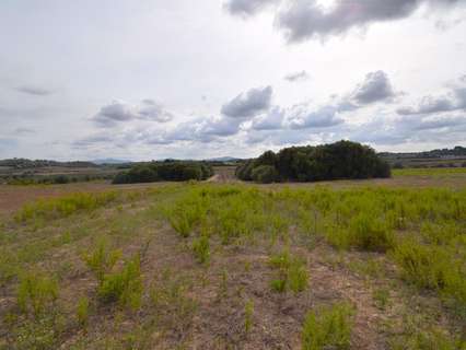 Parcela rústica en venta en Muro