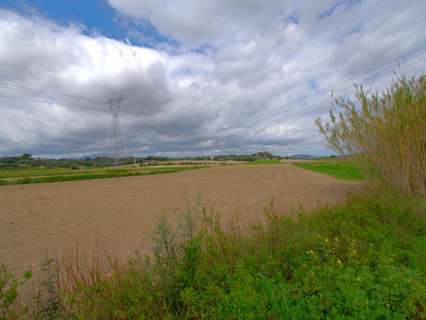 Parcela rústica en venta en Muro