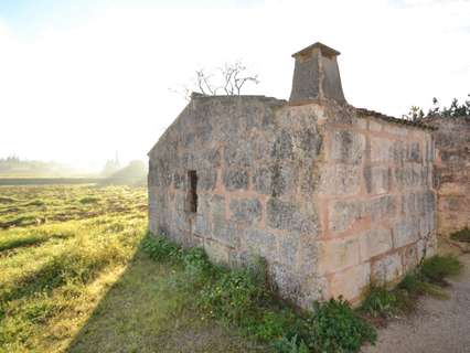 Parcela rústica en venta en Muro