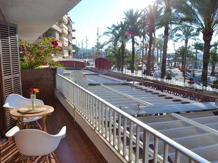 Piso en alquiler en Alcúdia