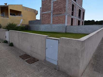 Parcela rústica en venta en Santa Margalida rebajada