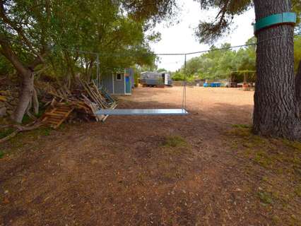 Casa rústica en venta en Petra