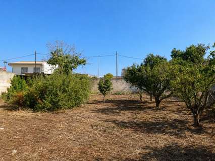 Parcela rústica en venta en Muro