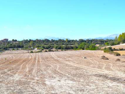 Casa rústica en venta en Llubí
