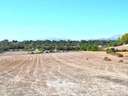 Casa rústica en venta en Llubí