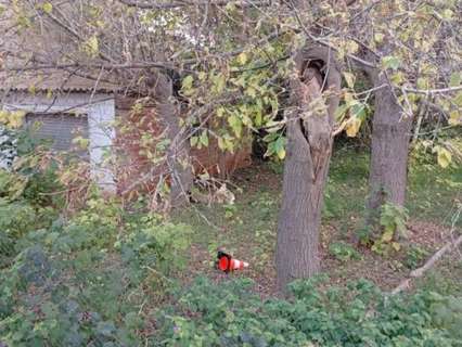 Parcela rústica en venta en Santa Eulàlia de Ronçana