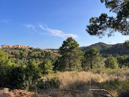 Parcela rústica en venta en Estepona