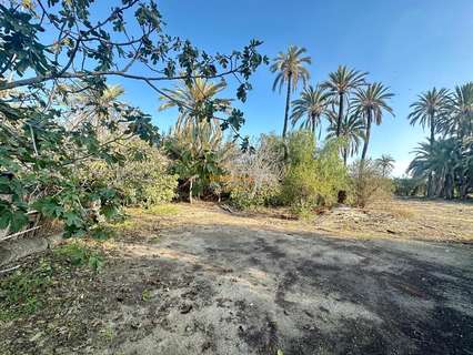 Casa en venta en Elche/Elx La Hoya