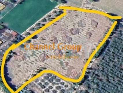 Parcela rústica en venta en Elche/Elx