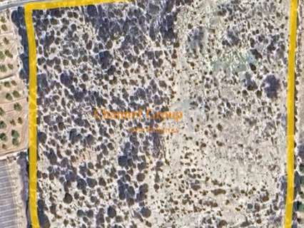 Parcela rústica en venta en Elche/Elx