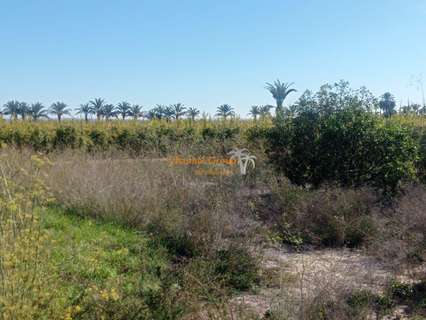 Parcela rústica en venta en Elche/Elx