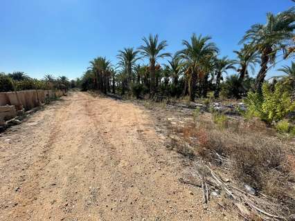 Parcela rústica en venta en Crevillent