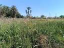 Parcela rústica en venta en Elche/Elx zona La Hoya
