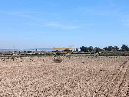 Parcela rústica en venta en Elche/Elx zona La Marina