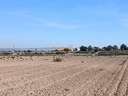 Parcela rústica en venta en Elche/Elx zona La Marina