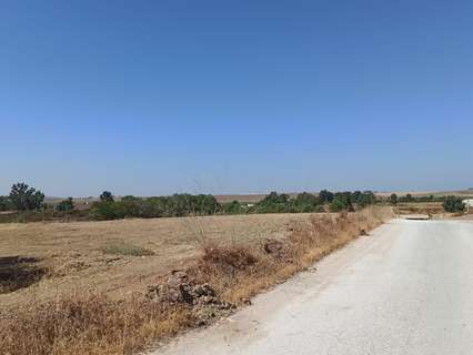 Parcela rústica en venta en Guillena rebajada