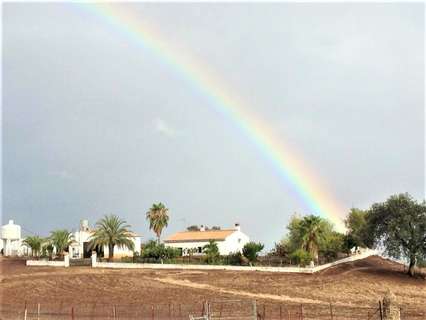 Casa rústica en venta en Almadén de la Plata