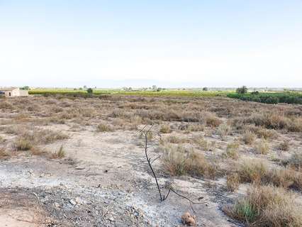 Parcela rústica en venta en Elche/Elx zona La Marina