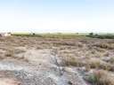 Parcela rústica en venta en Elche/Elx zona La Marina