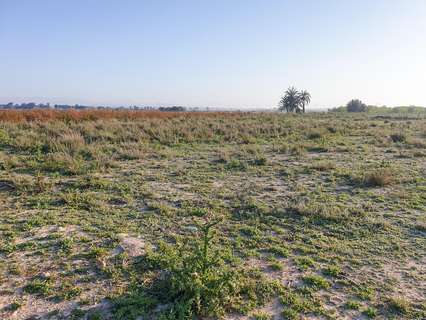 Parcela rústica en venta en Elche/Elx zona La Marina