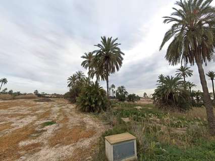 Parcela rústica en venta en Elche/Elx zona La Hoya