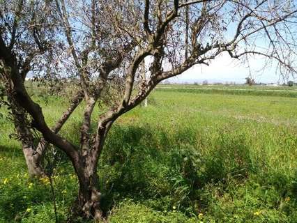 Casa en venta en San Fulgencio