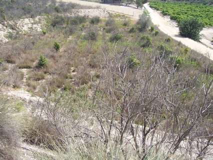 Parcela rústica en venta en Orihuela