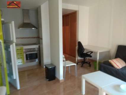 Estudio en alquiler en Murcia La Ñora