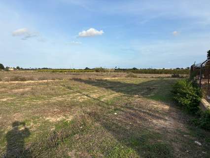 Parcela rústica en venta en Elche/Elx