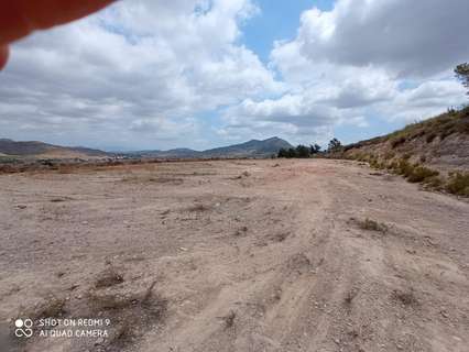 Parcela rústica en venta en Hondón de los Frailes