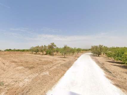 Parcela rústica en alquiler en Elche/Elx zona Torrellano