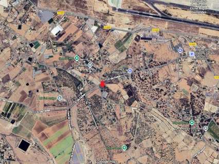 Parcela rústica en alquiler en Elche/Elx zona Torrellano