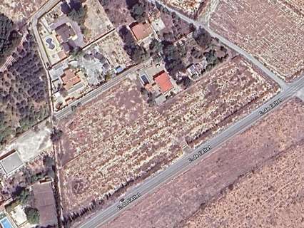 Parcela rústica en alquiler en Elche/Elx zona Torrellano