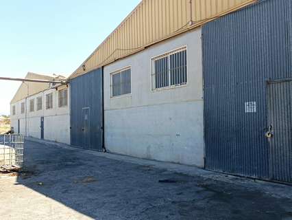 Nave industrial en alquiler en Elche/Elx