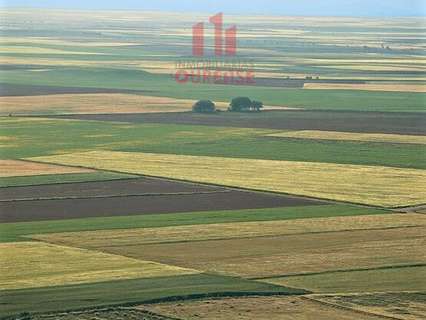Parcela rústica en venta en Barbadás