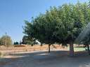 Casa en venta en Villena
