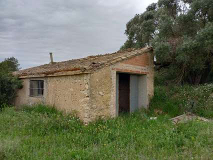 Parcela rústica en venta en Móra d'Ebre