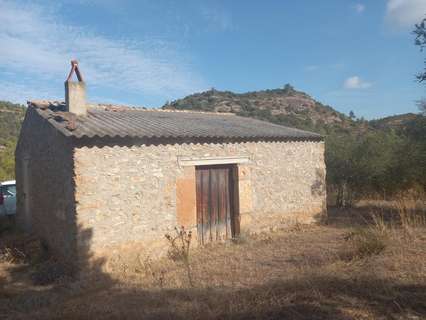 Parcela rústica en venta en La Torre de l'Espanyol