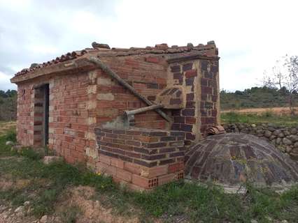 Parcela rústica en venta en El Pinell de Brai