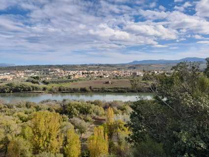 Parcela rústica en venta en Móra d'Ebre