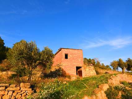 Parcela rústica en venta en Corbera d'Ebre