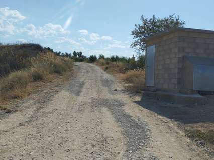 Parcela rústica en venta en Vilalba dels Arcs