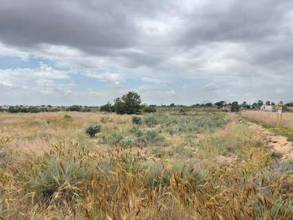 Parcela rústica en venta en Sant Vicent del Raspeig