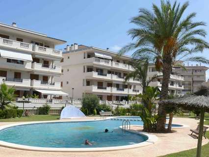 Apartamento en alquiler en Torrevieja rebajado