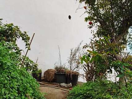 Casa en venta en La Orotava