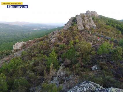 Parcela rústica en venta en Valencia de Alcántara